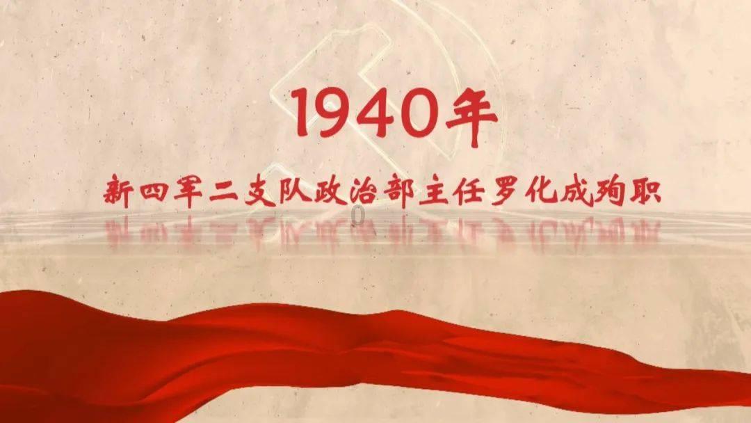 88影视